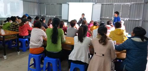 Công Ty TNHH Sản Xuất Hạt Giống Rau Lâm Đài